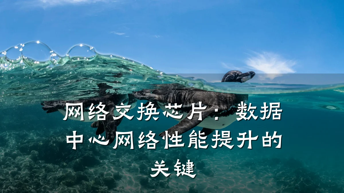 网络交换芯片：数据中心网络性能提升的关键