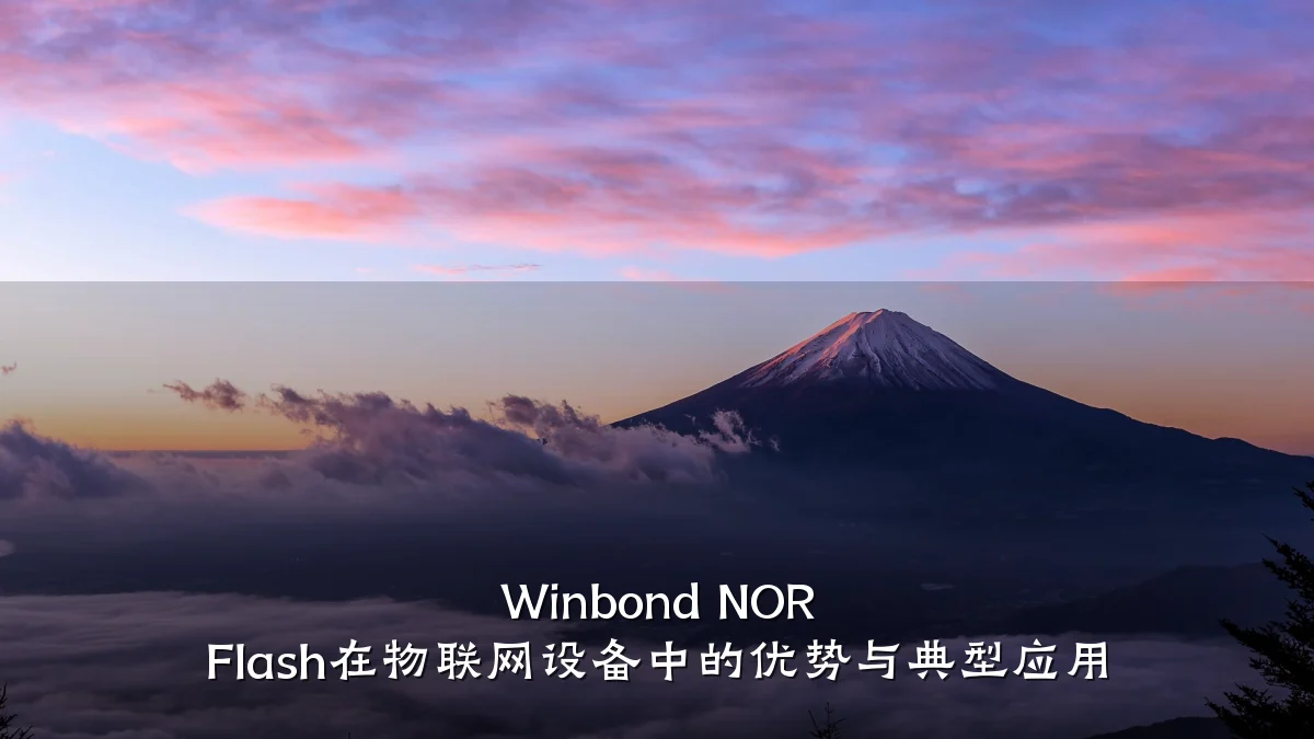 Winbond NOR Flash在物联网设备中的优势与典型应用