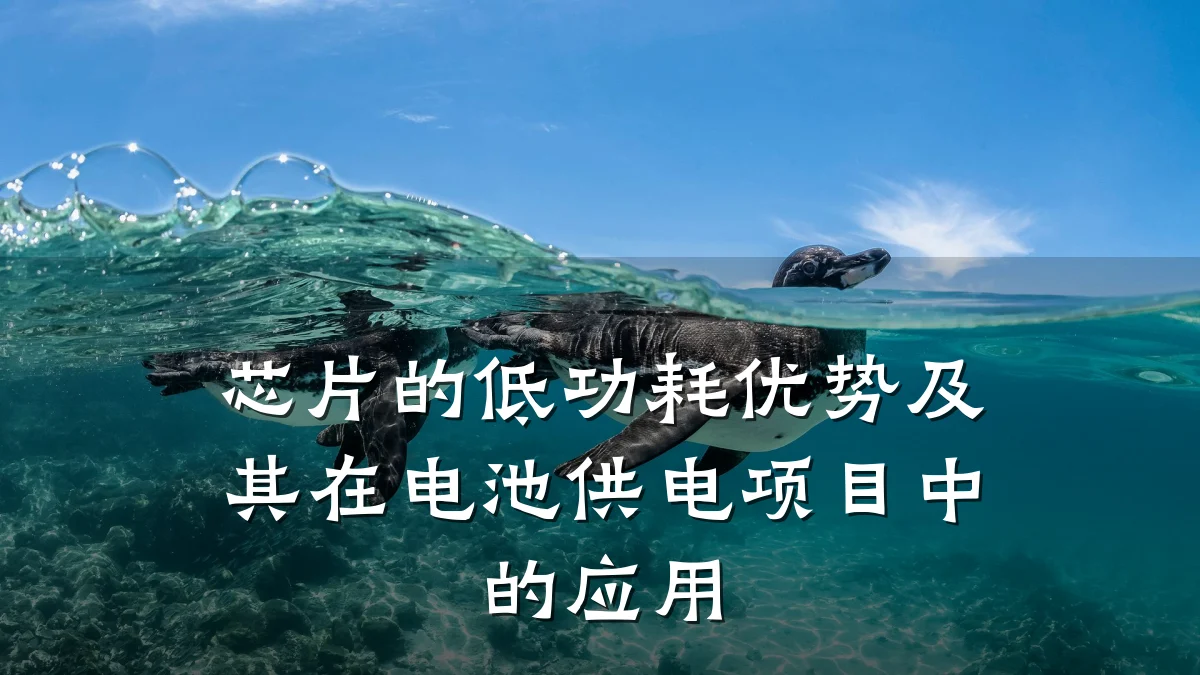 芯片的低功耗优势及其在电池供电项目中的应用