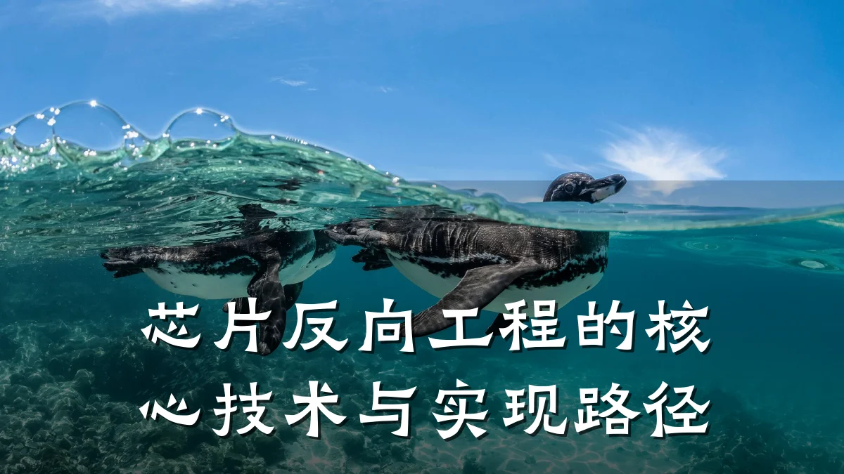 芯片反向工程的核心技术与实现路径