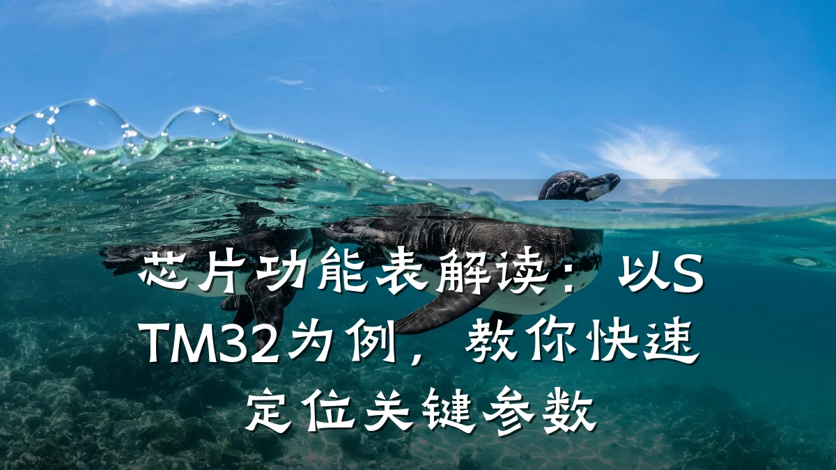 芯片功能表解读:以STM32为例,教你快速定位关键参数