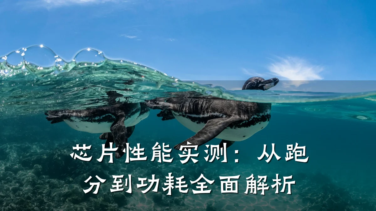 芯片性能实测：从跑分到功耗全面解析