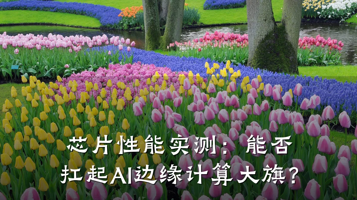 芯片性能实测:能否扛起AI边缘计算大旗?