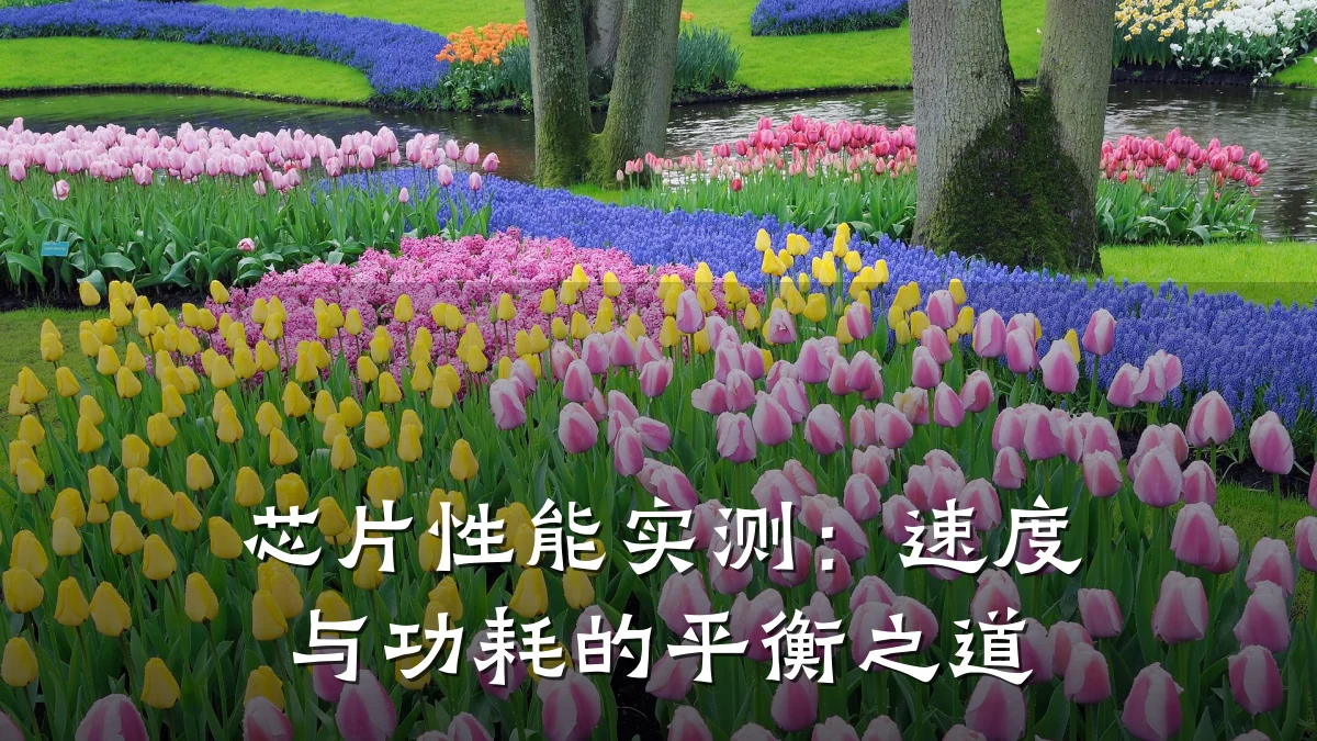 芯片性能实测:速度与功耗的平衡之道