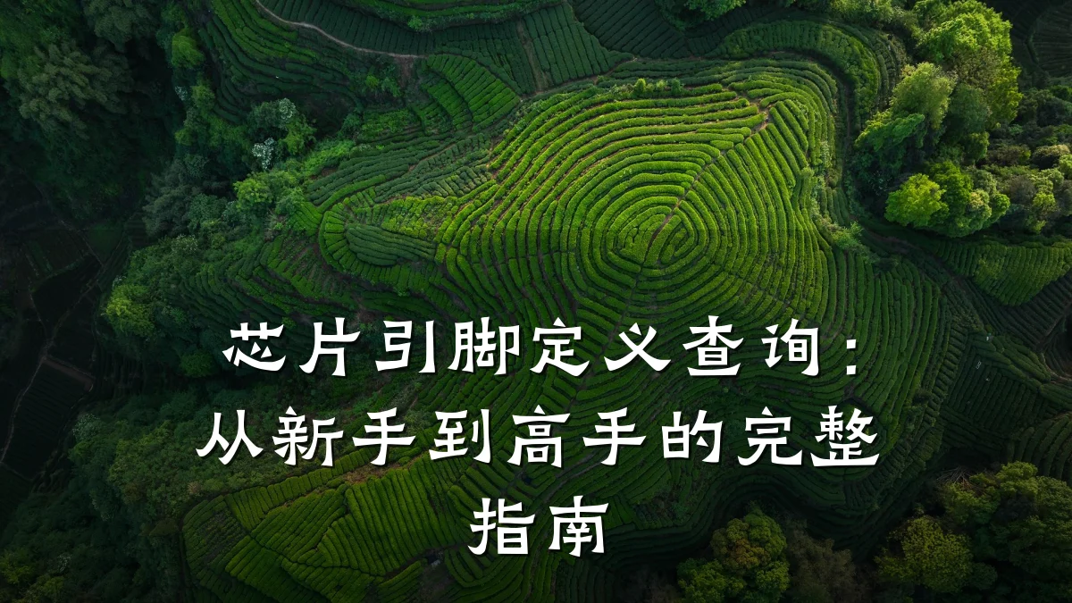 芯片引脚定义查询：从新手到高手的完整指南