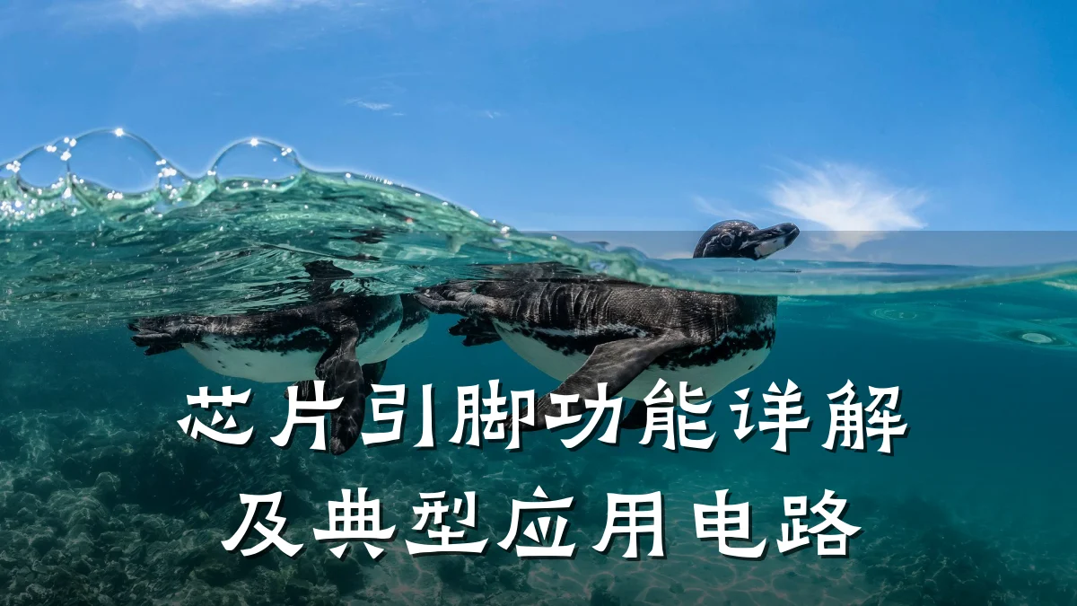 芯片引脚功能详解及典型应用电路
