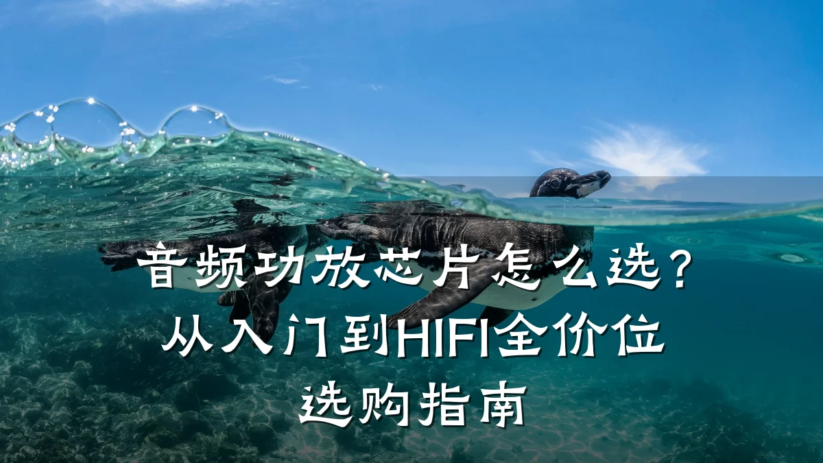 音频功放芯片怎么选?从入门到HIFI全价位选购指南