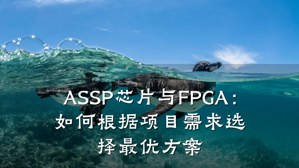 ASSP芯片与FPGA:如何根据项目需求选择最优方案