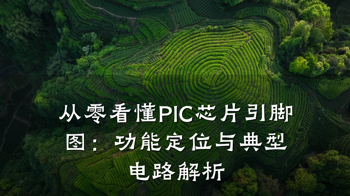 从零看懂PIC芯片引脚图:功能定位与典型电路解析