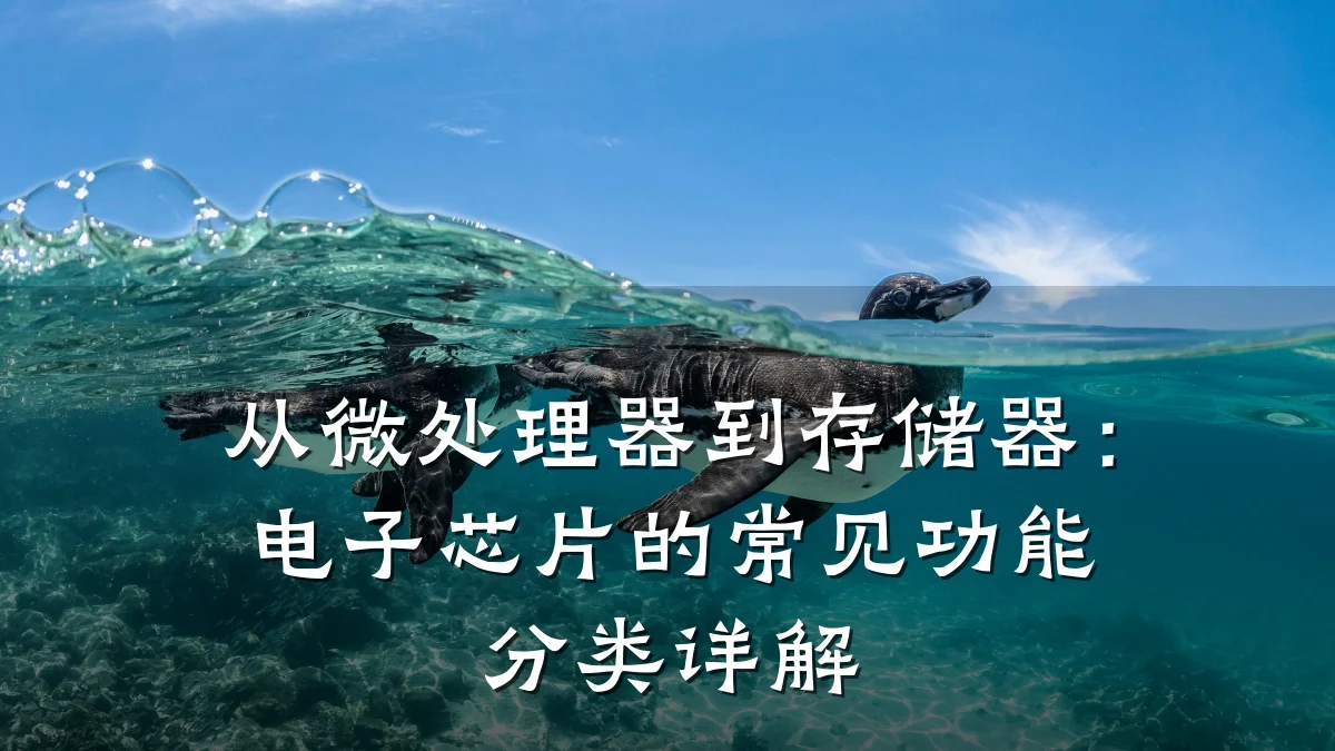 从微处理器到存储器:电子芯片的常见功能分类详解