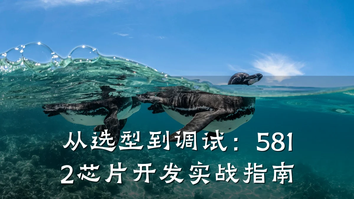 从选型到调试:5812芯片开发实战指南