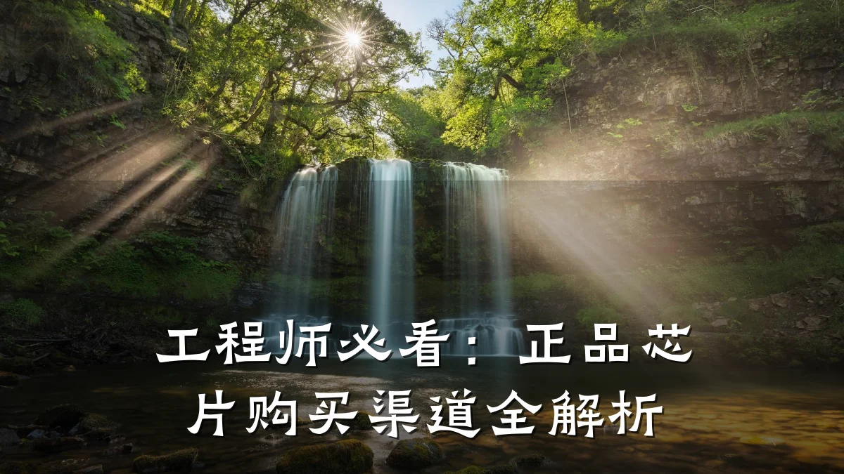 工程师必看:正品芯片购买渠道全解析