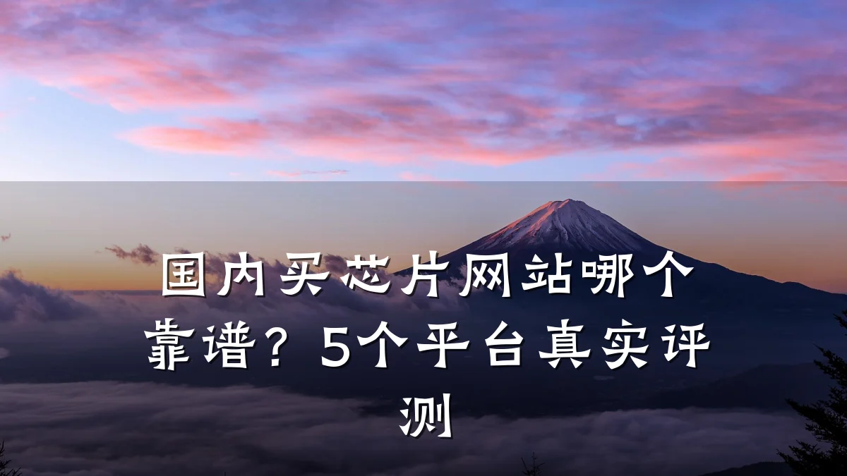国内买芯片网站哪个靠谱?5个平台真实评测