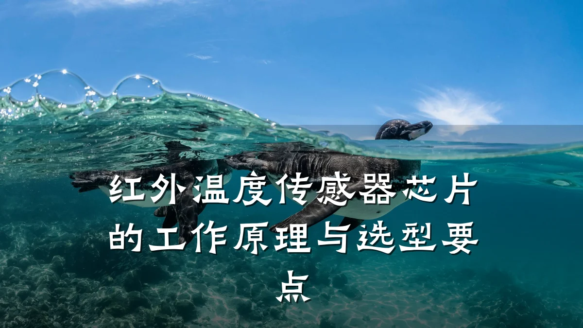 红外温度传感器芯片的工作原理与选型要点