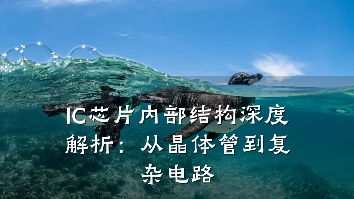 IC芯片内部结构深度解析:从晶体管到复杂电路