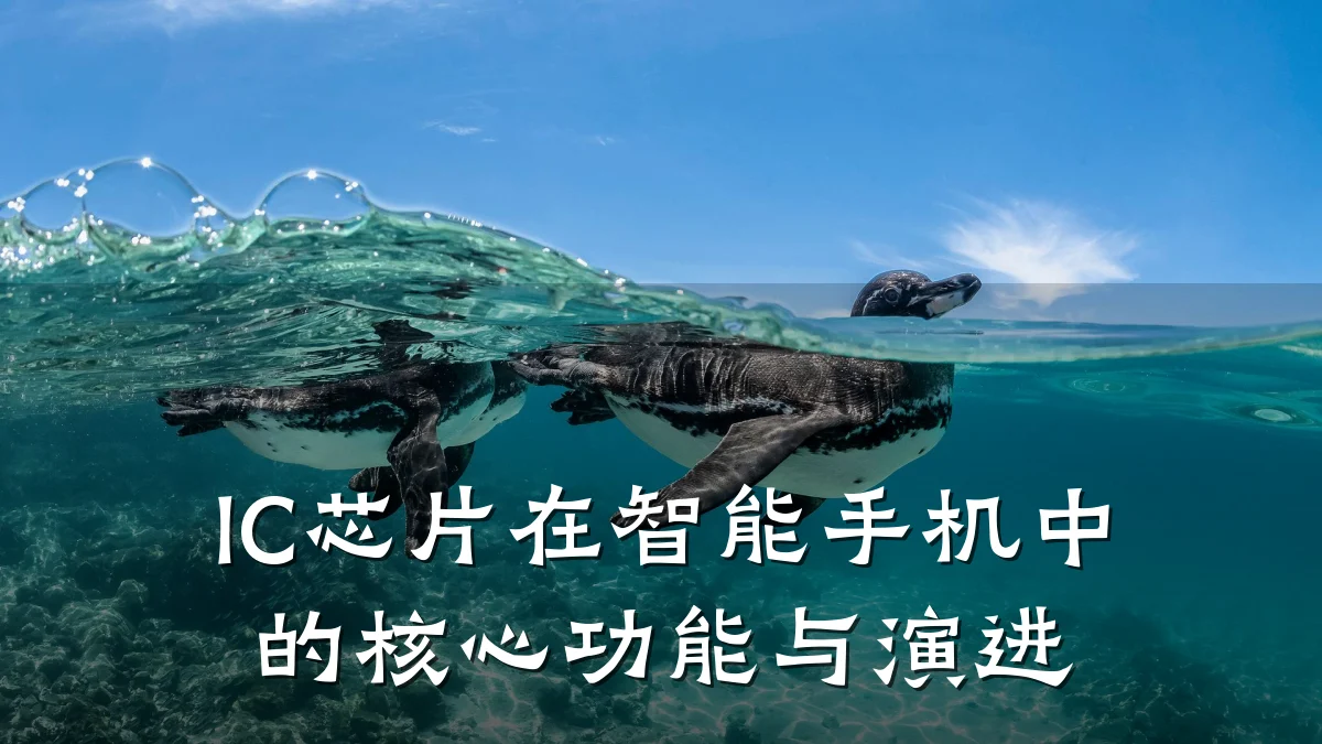 IC芯片在智能手机中的核心功能与演进