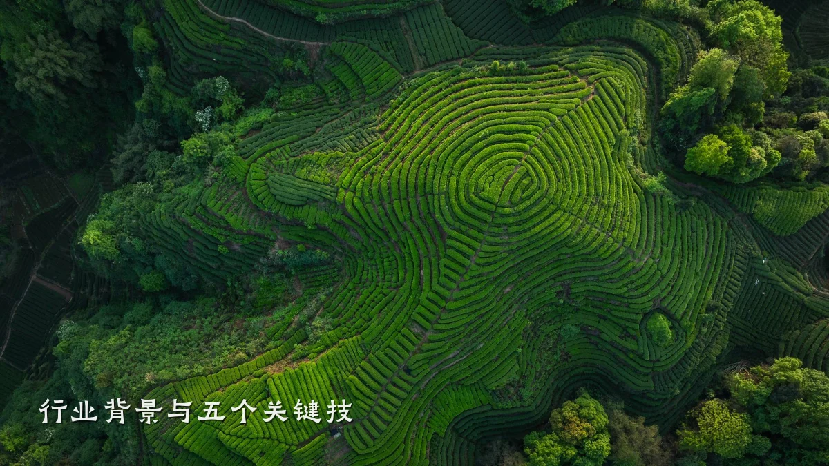 行业背景与五个关键技