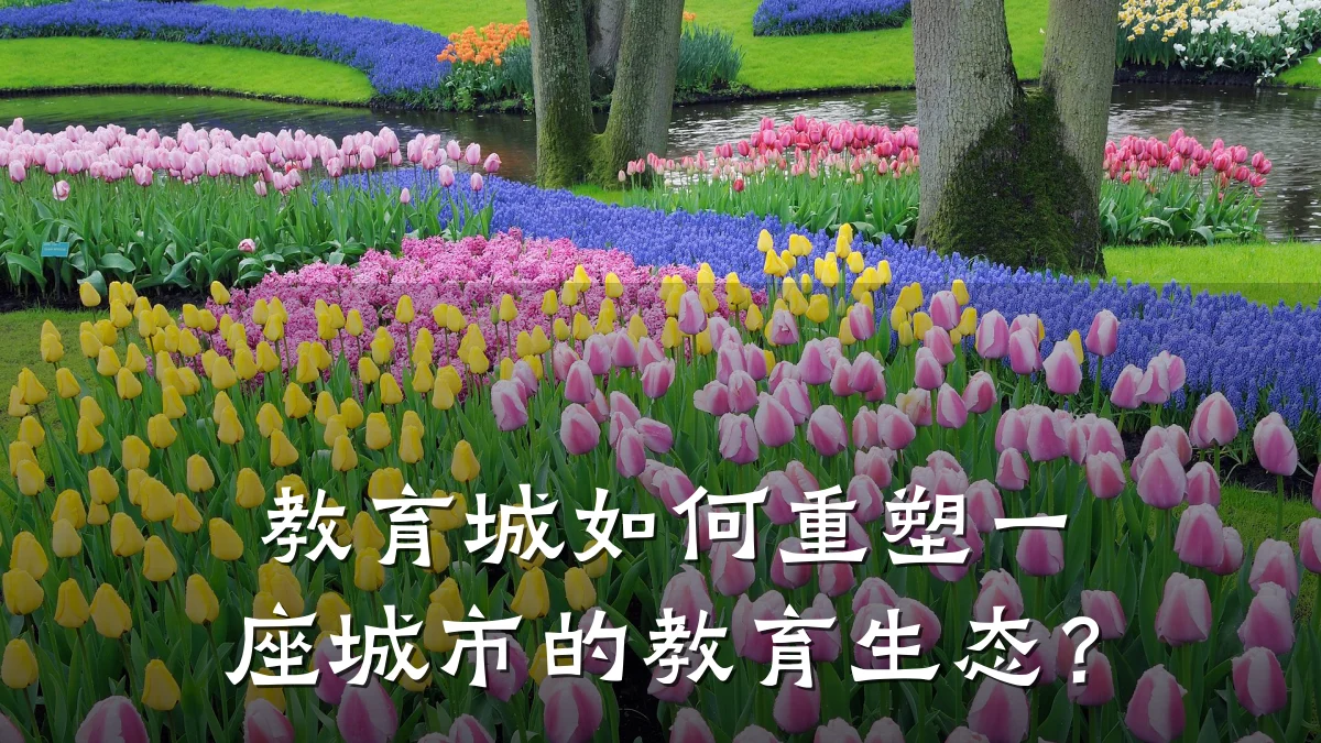 教育城如何重塑一座城市的教育生态?