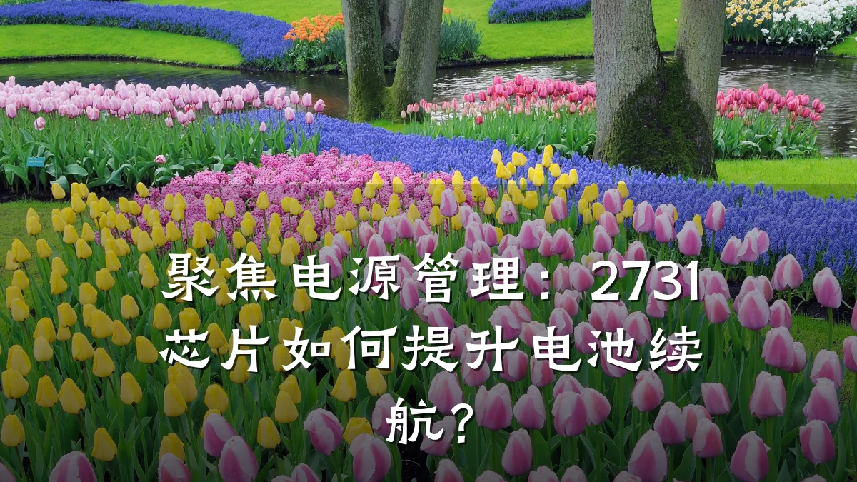 聚焦电源管理:2731芯片如何提升电池续航?