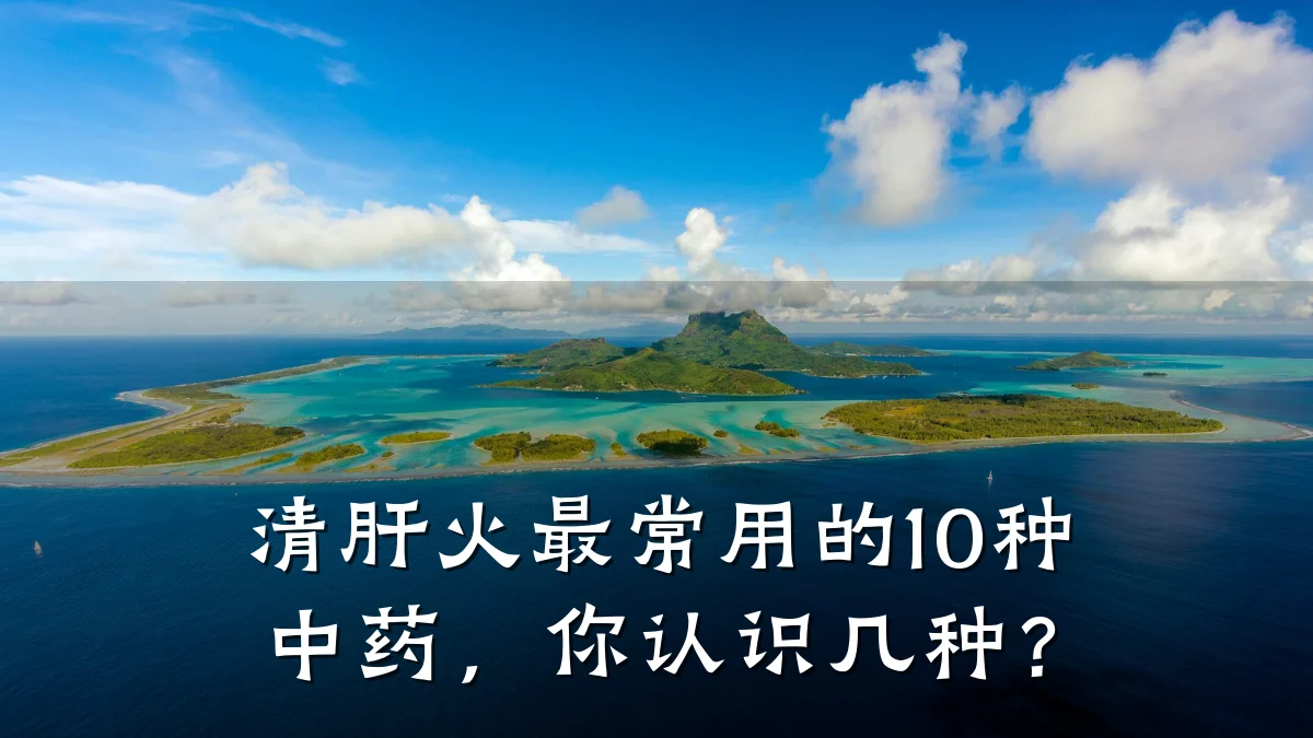 清肝火最常用的10种中药,你认识几种?