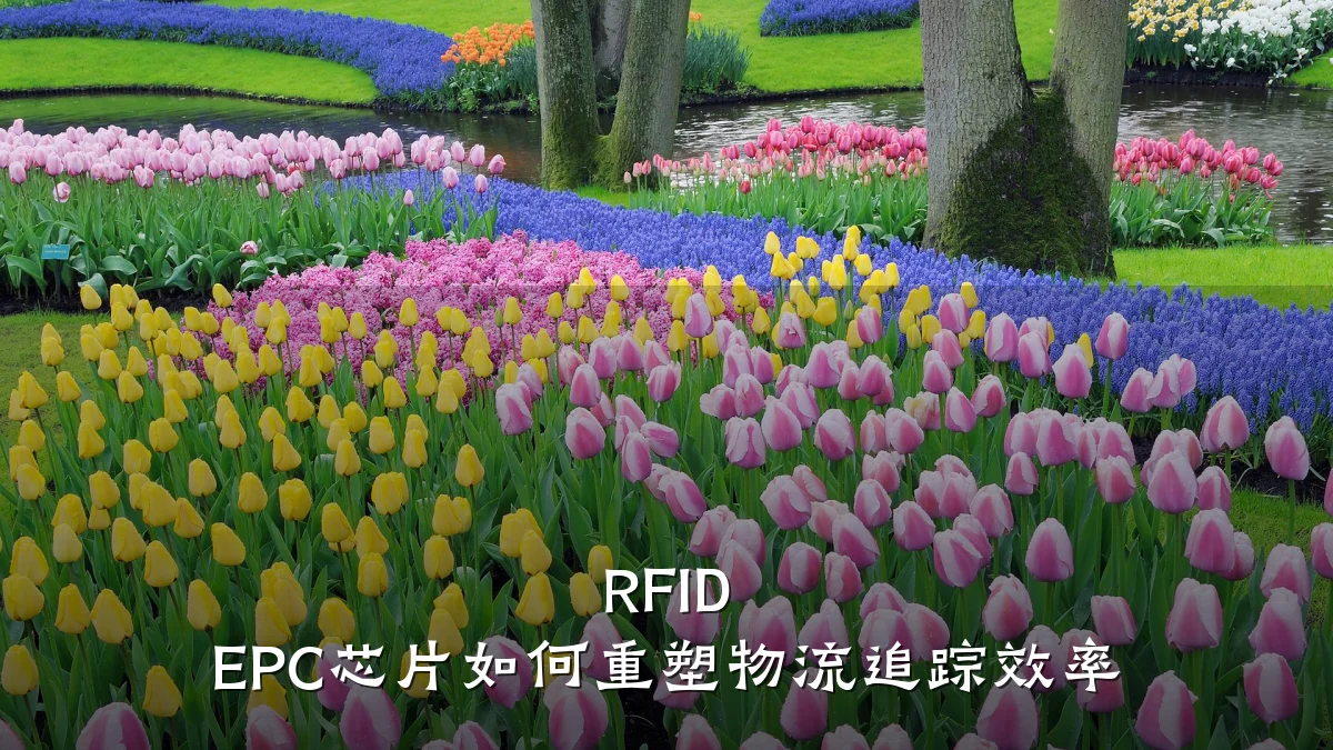 RFID EPC芯片如何重塑物流追踪效率