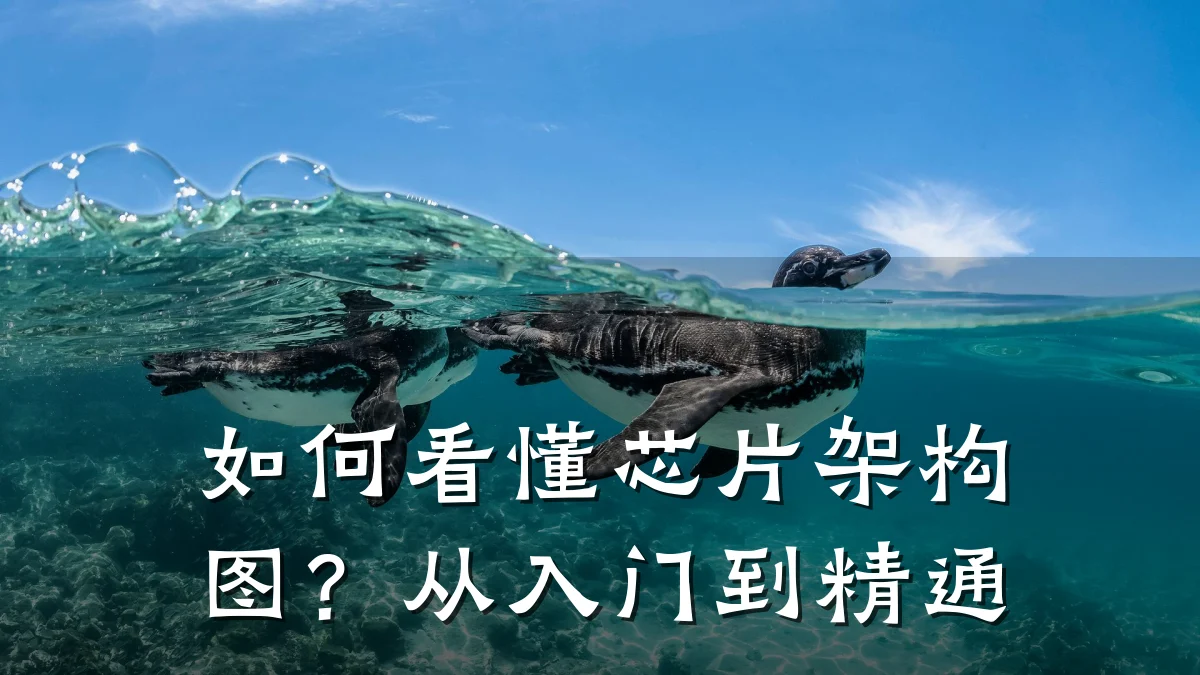 如何看懂芯片架构图?从入门到精通