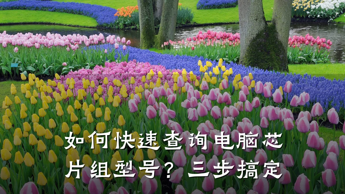 如何快速查询电脑芯片组型号?三步搞定
