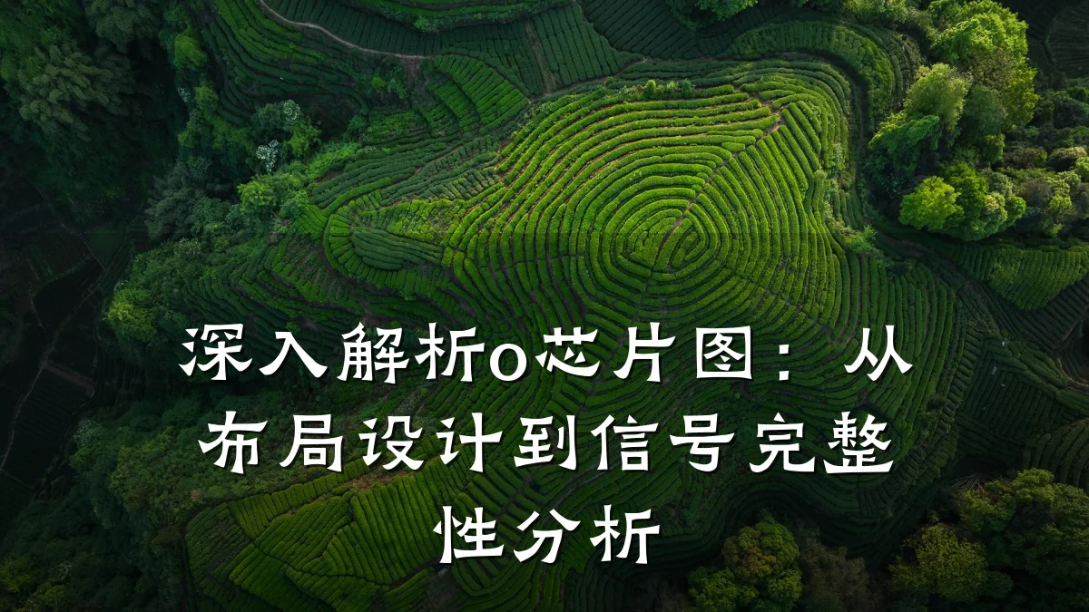 深入解析o芯片图：从布局设计到信号完整性分析
