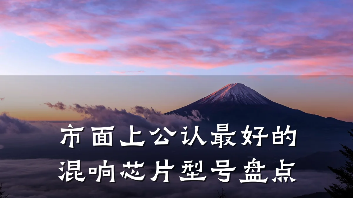 市面上公认最好的混响芯片型号盘点