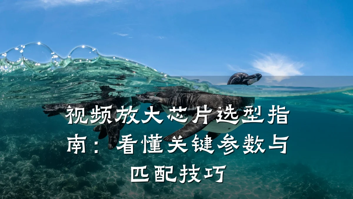 视频放大芯片选型指南:看懂关键参数与匹配技巧