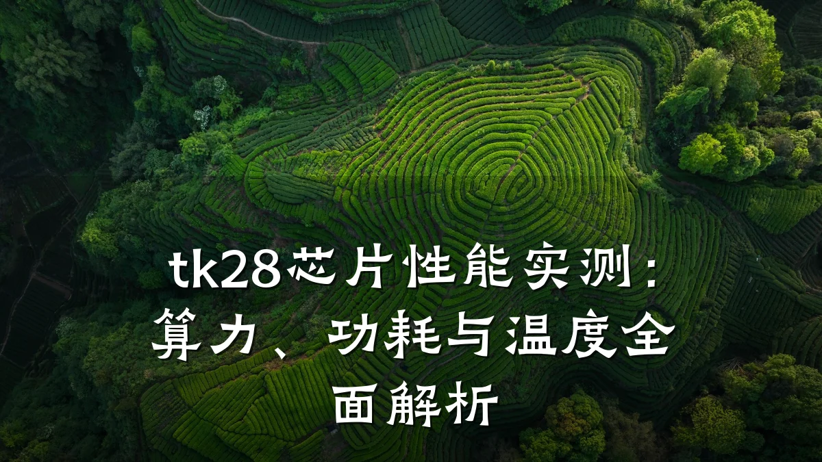 tk28芯片性能实测:算力、功耗与温度全面解析