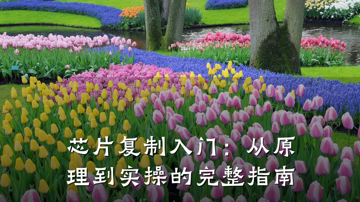 芯片复制入门:从原理到实操的完整指南