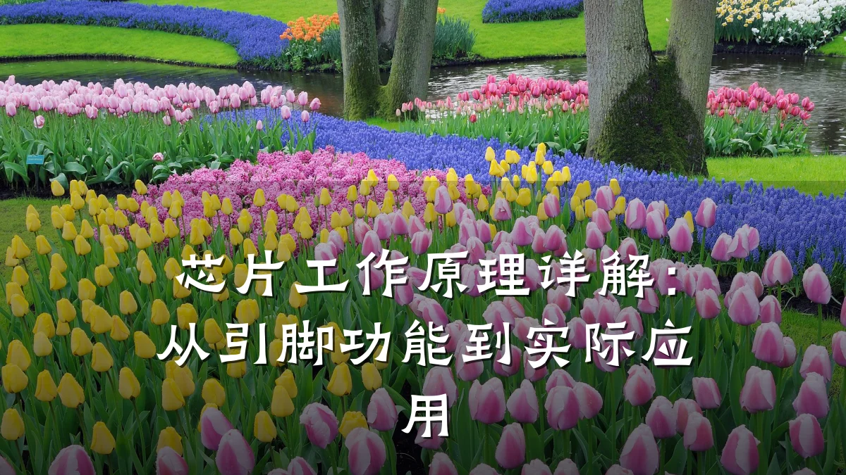 芯片工作原理详解：从引脚功能到实际应用