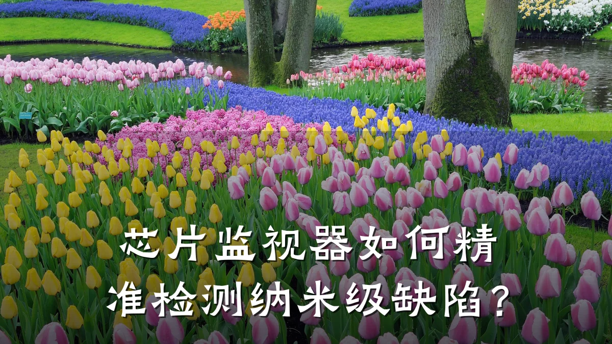芯片监视器如何精准检测纳米级缺陷?