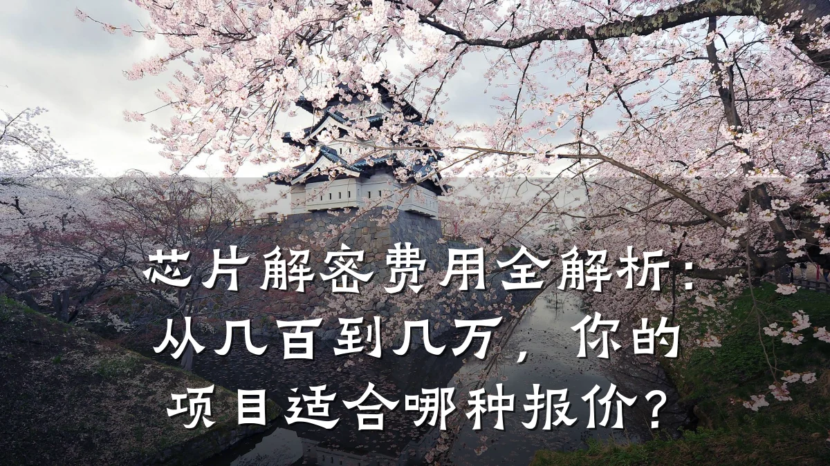 芯片解密费用全解析:从几百到几万,你的项目适合哪种报价?
