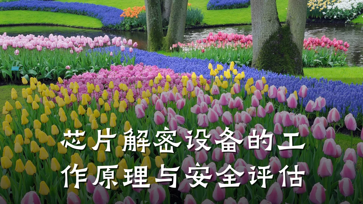 芯片解密设备的工作原理与安全评估