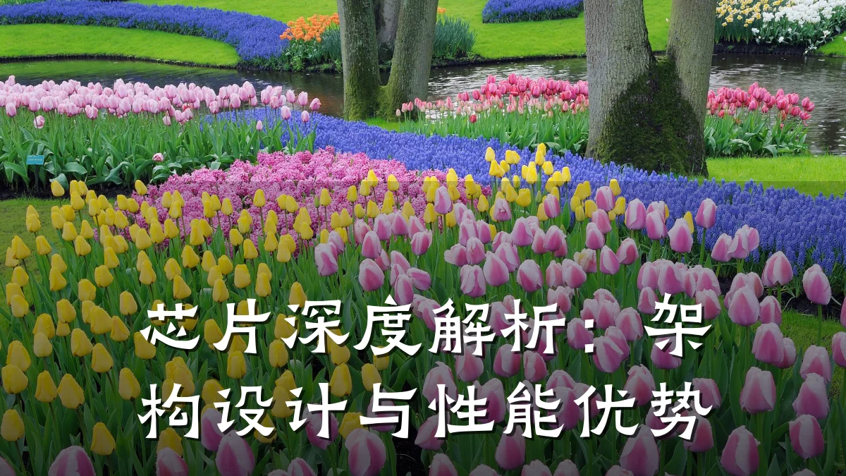 芯片深度解析:架构设计与性能优势