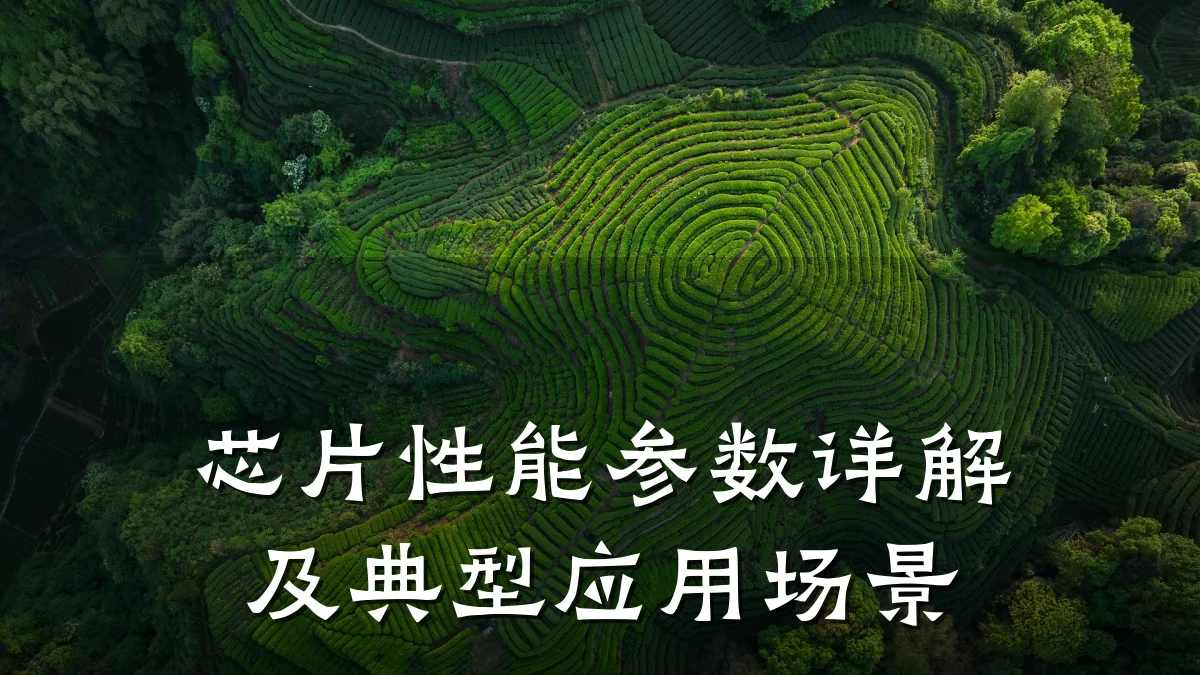 芯片性能参数详解及典型应用场景