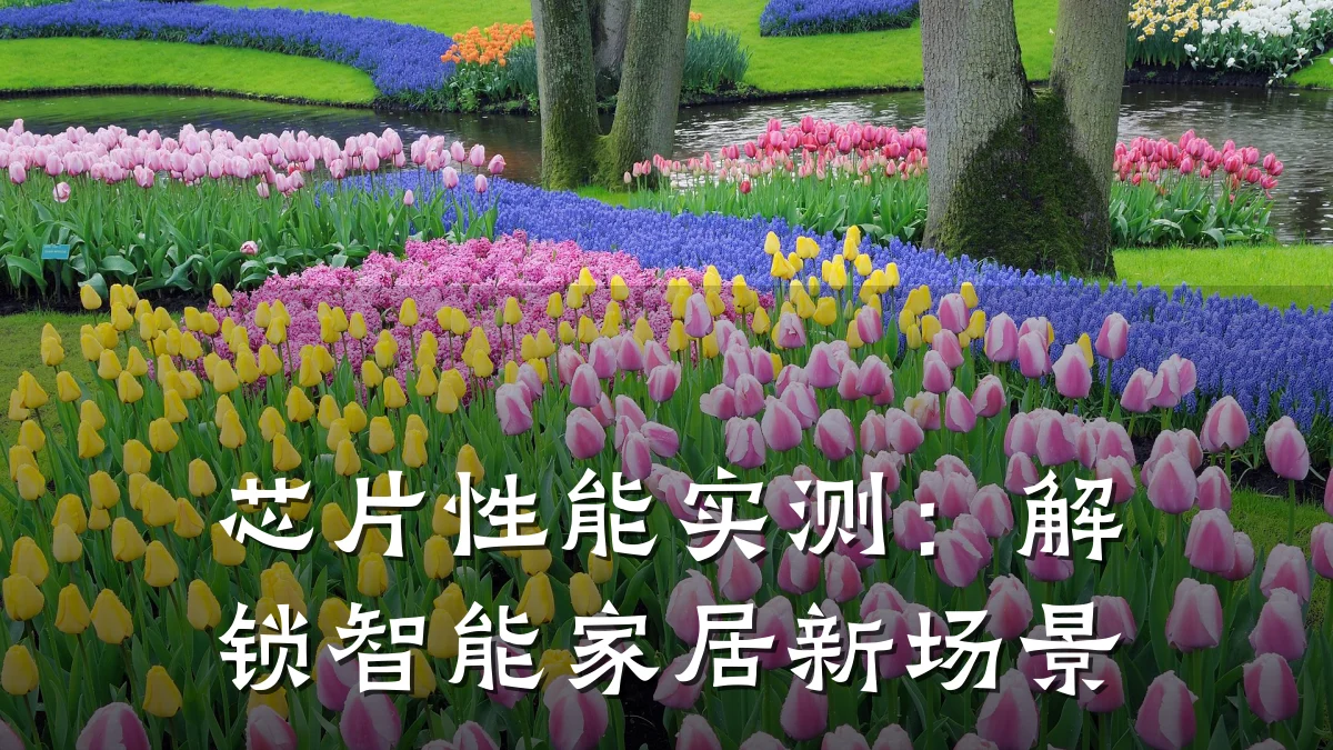 芯片性能实测：解锁智能家居新场景