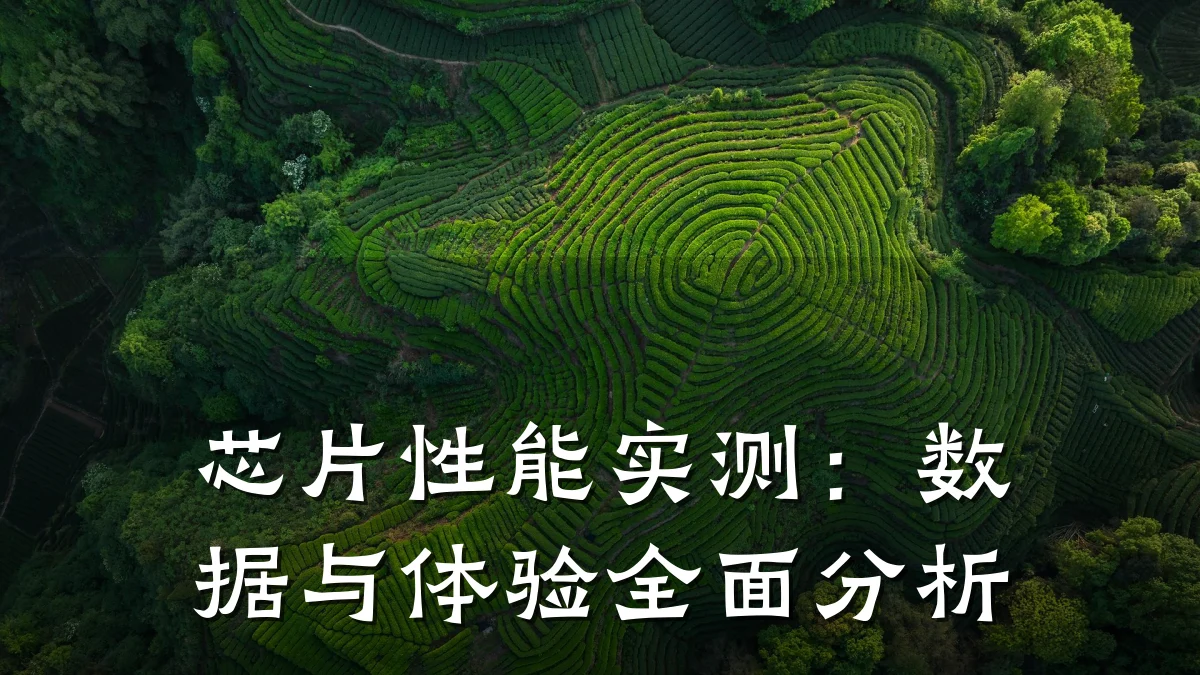 芯片性能实测:数据与体验全面分析