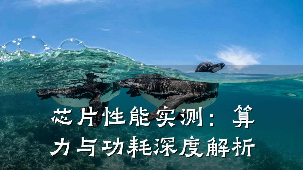 芯片性能实测:算力与功耗深度解析