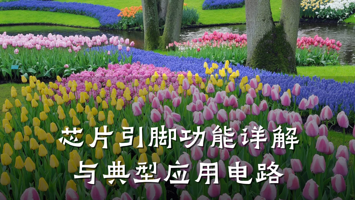 芯片引脚功能详解与典型应用电路