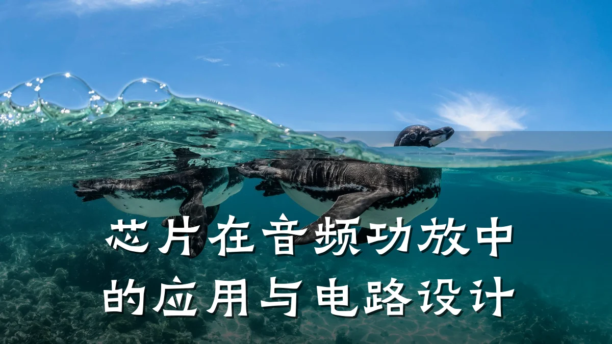 芯片在音频功放中的应用与电路设计