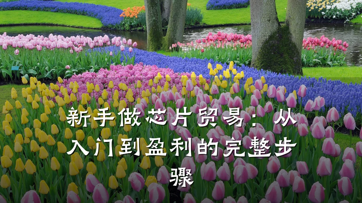 新手做芯片贸易:从入门到盈利的完整步骤