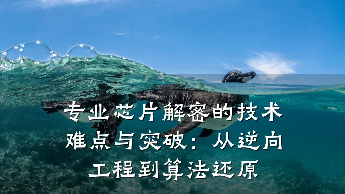 专业芯片解密的技术难点与突破:从逆向工程到算法还原