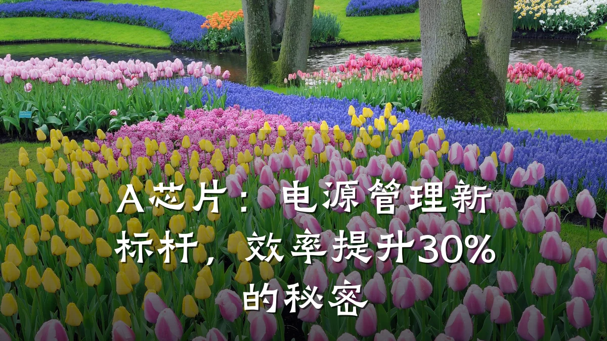 A芯片:电源管理新标杆,效率提升30%的秘密