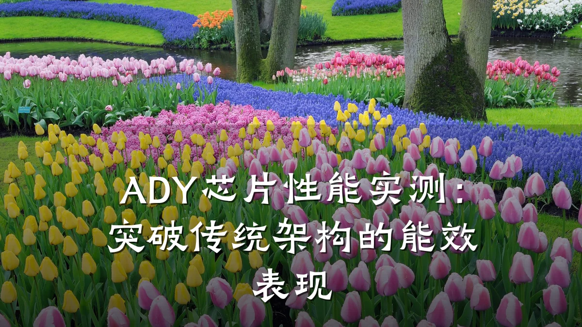 ADY芯片性能实测:突破传统架构的能效表现