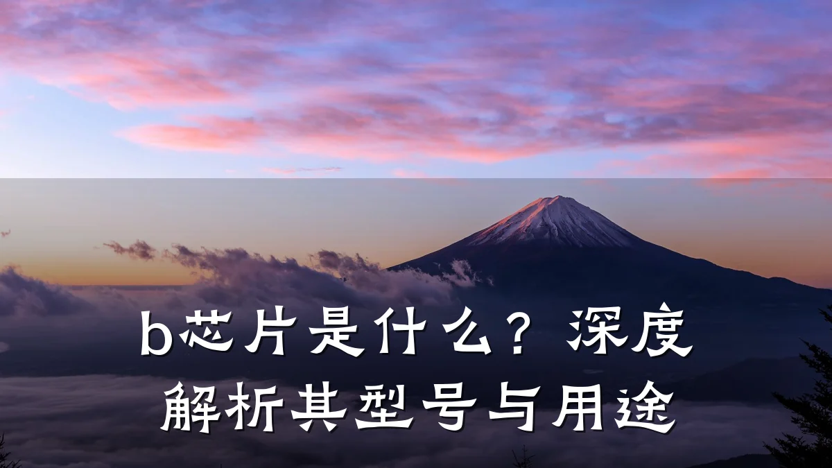 b芯片是什么?深度解析其型号与用途