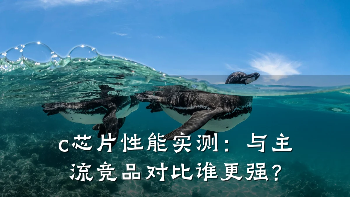 c芯片性能实测：与主流竞品对比谁更强？