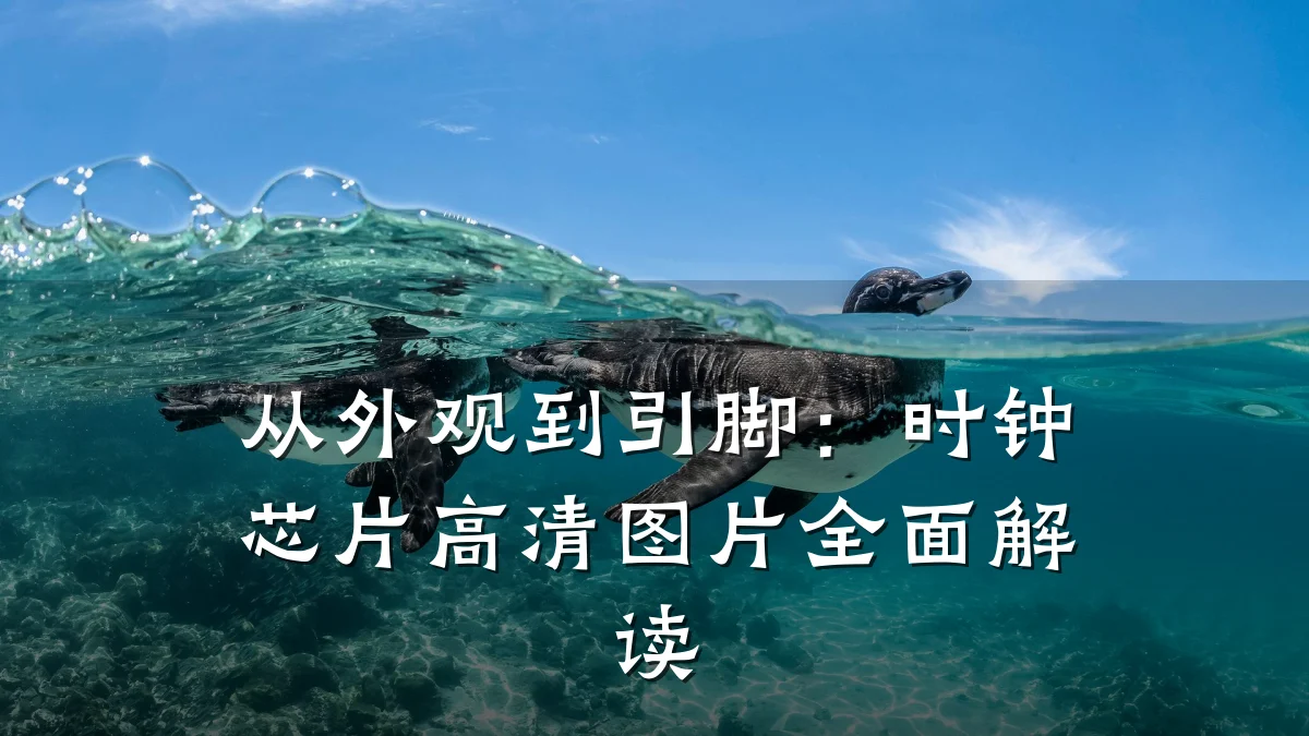 从外观到引脚:时钟芯片高清图片全面解读